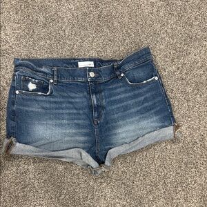 Loft | Denim Blue Women Shorts, 31/12